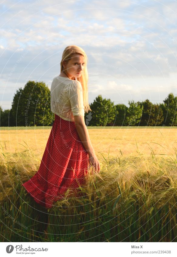 in sunlight II Beautiful Relaxation Calm Human being Feminine Young woman Youth (Young adults) 1 18 - 30 years Adults Nature Landscape Sky Sunrise Sunset Summer