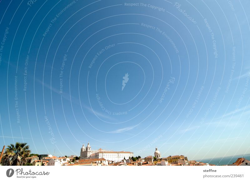 sao vicente and still what sea Sky Cloudless sky Summer Beautiful weather Tree Lisbon Portugal Capital city Old town Skyline House (Residential Structure)