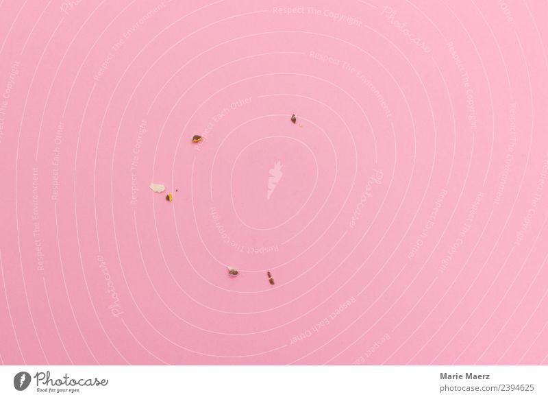 All gone - crumbs from a donut Dough Baked goods Cake Nutrition Eating Brash Delicious Pink Vice Gluttony Voracious To enjoy Happy Contentment