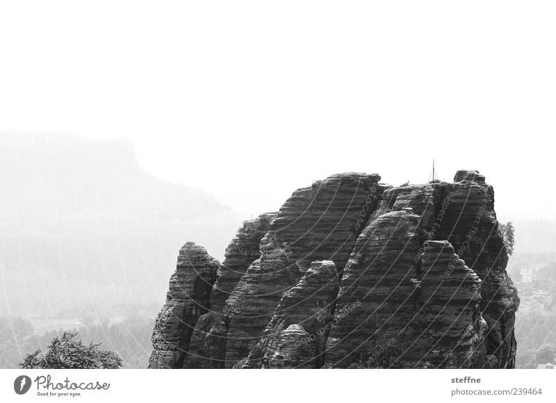 fissured Environment Landscape Rock Mountain Elbsandstone mountains Elbsandstein region Black & white photo Exterior shot Deserted Travel photography