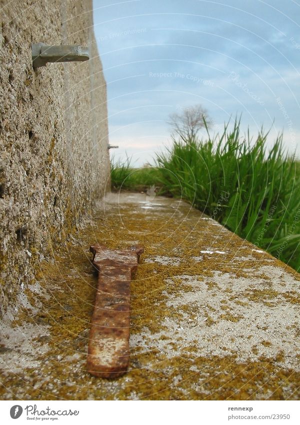 Insect perspective 2 Screw wrench Tool Key Wall (building) Broken Moss Weather Meadow Green Juicy Grass Plant Authentic Clouds Bad weather Summer Ant Under