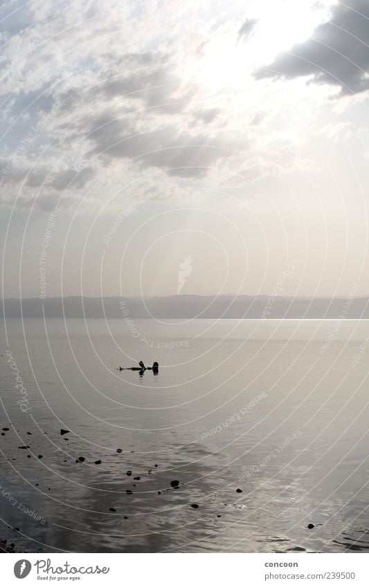 Dead Sea Floating Harmonious Well-being Contentment Relaxation Calm Tourism Far-off places Summer Summer vacation Ocean Adventure Esthetic Loneliness