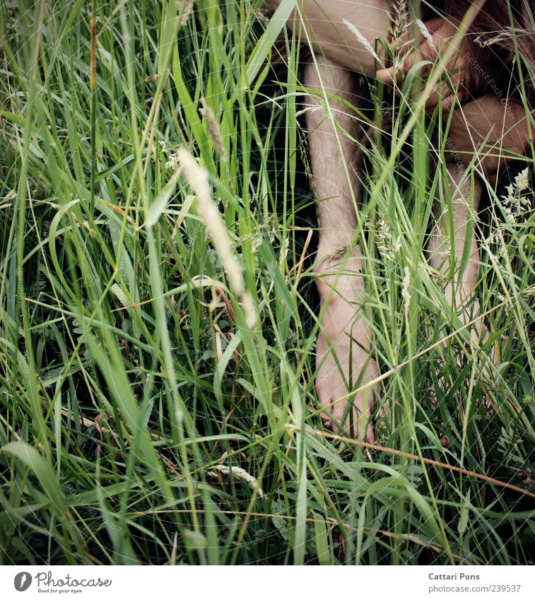 meadow and... Masculine Man Adults 1 Human being Summer Grass Meadow Crouch Sit Natural Thin Loneliness Guilty Shame Hide Green Colour photo Exterior shot Day