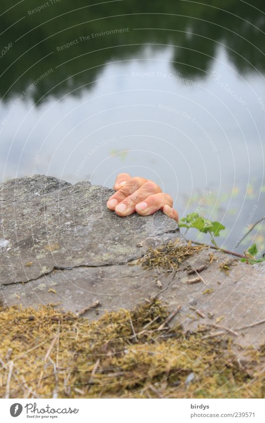 help Hand Fingers Hang Distress Effort Rescue Rock Lake Hold Helpless Needy To hold on Hopelessness cliff edge Moss Edge Grasp Awkward Complex Risk of collapse