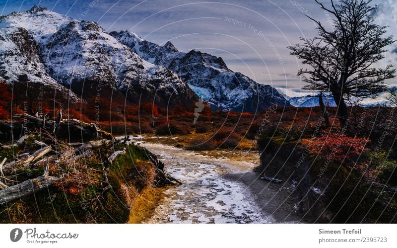 Path in the Fitz-Roy National Park Tourism Adventure Far-off places Freedom Expedition Mountain Hiking Autumn Winter Climate Beautiful weather Ice Frost Andes