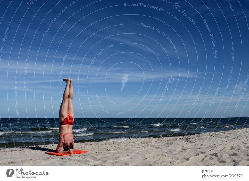 beachhead stand Relaxation Calm Vacation & Travel Summer Summer vacation Beach Ocean Yoga Human being Feminine Body Back Bottom Legs 1 45 - 60 years Adults