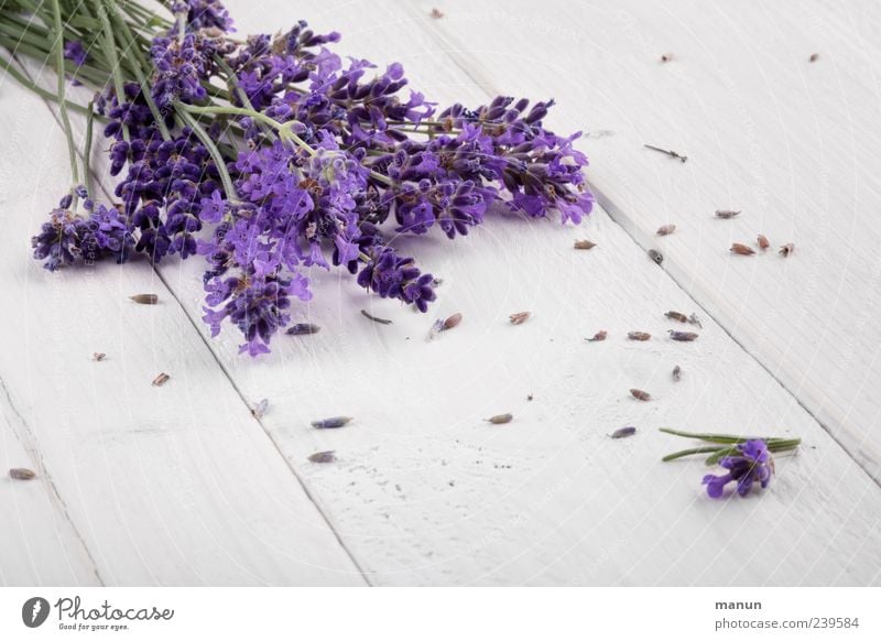 lavender Herbs and spices Medicinal plant Healthy Fragrance Table Wooden table Nature Plant Flower Blossom Agricultural crop Lavender Summerflower Flower stem