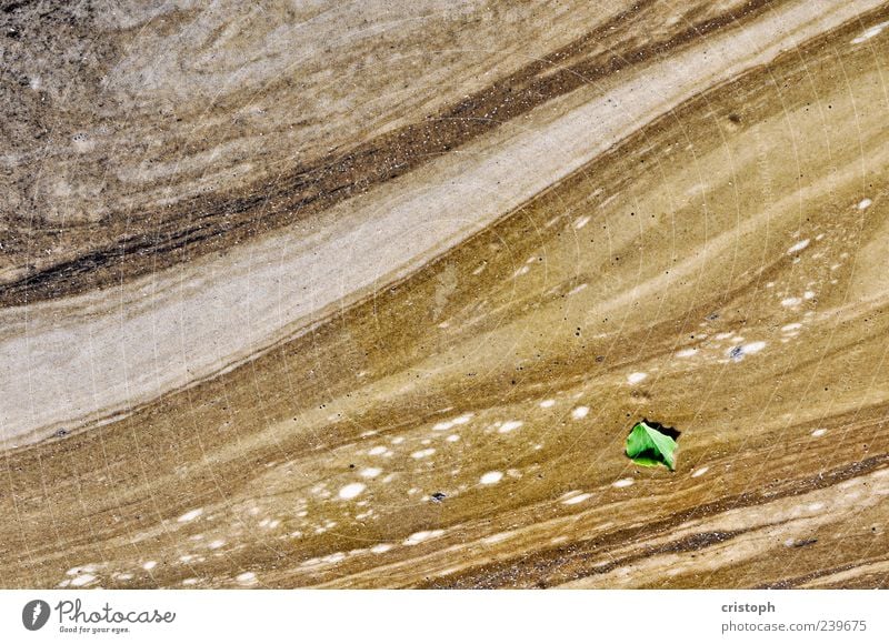 Saturn Nature Earth Leaf Foliage plant Pond Desert Sand Esthetic Elegant Fluid Gloomy Brown Green Loneliness Movement Colour photo Subdued colour Exterior shot