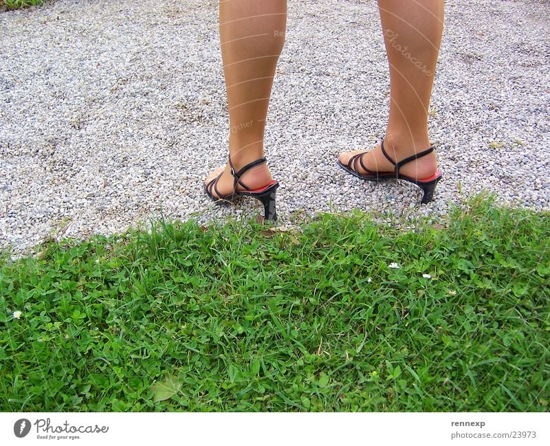 Beautiful legs Footwear High heels Tights Meadow Shank's mare Sandal Grass Park Gravel Lower leg Tighten Woman Legs Feet kathrin Garden Lanes & trails snapshot