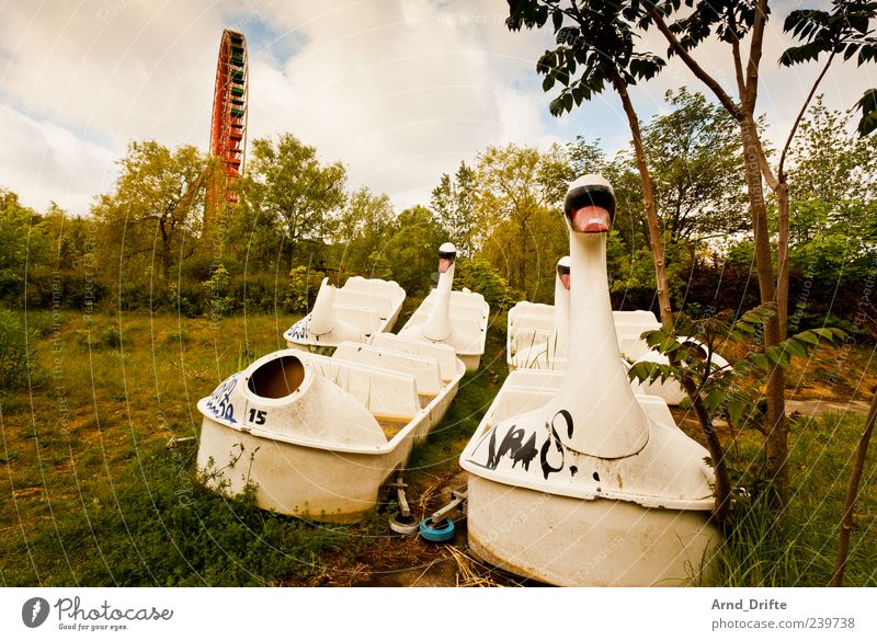 Spreepark Amusement Park Ferris wheel Destruction plänterwald Clouds Past Insolvency Berlin Swan Watercraft Pedalo Broken Colour photo Exterior shot Deserted