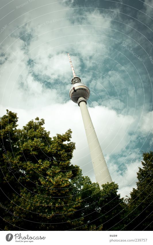 Grows and thrives Culture Environment Sky Clouds Weather Tree Capital city Manmade structures Architecture Tourist Attraction Landmark Green Berlin Germany