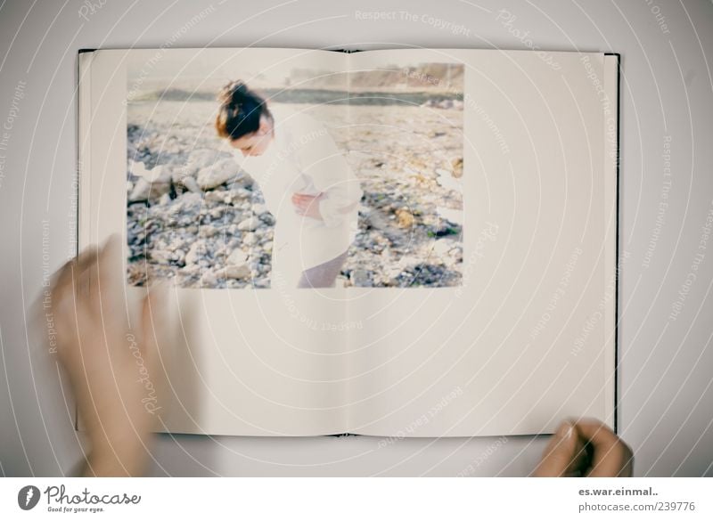 Picture in picture Feminine Hand 1 Human being Rock Shirt Discover Reading Stand Book To leaf (through a book) Picture book Motion blur Looking Art Colour photo