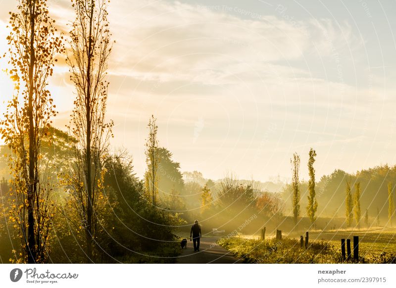 Dog walk with fog and sunrise To go for a walk Hiking Sky Clouds Sunrise Sunset Sunlight Spring Summer Fog Tree Foliage plant Park Meadow 1 Animal Relaxation