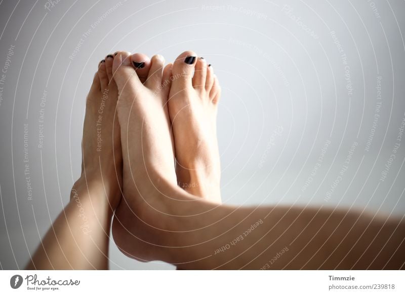 feet Feet Love Together Joy Happy Safety (feeling of) Sympathy Friendship Infatuation Romance Lust Legs Nail polish Couple Copy Space right Sunlight