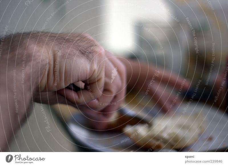 scrumptious Roll Butter Breakfast Plate Knives Human being Hand Fingers Eating Interior shot Close-up Detail Morning Blur Back-light Make Cooking