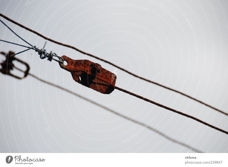 threesome Metal Rust Hang Brown Gray Tighten Retentive Wire Iron Steel 3 Diagonal Patina Weathered Colour photo Exterior shot Detail Day Deserted Wire cable