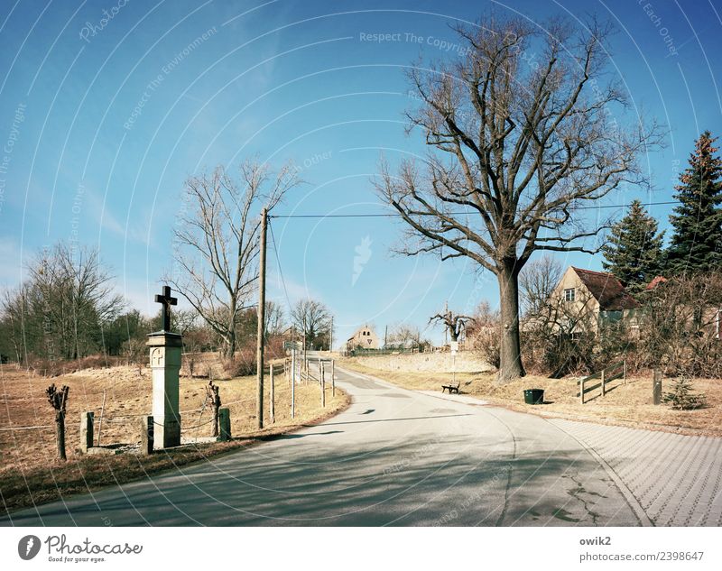 contemplative Cloudless sky Horizon Beautiful weather Tree Grass Bushes Temritz Bautzen Lausitz forest Sorbian Village Populated House (Residential Structure)