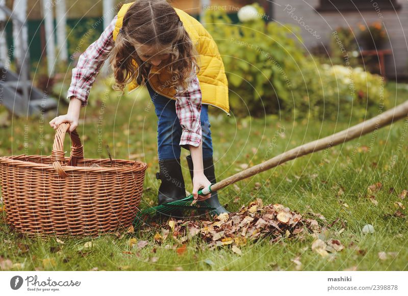 child girl picking leaves into basket Joy Garden Child Work and employment Gardening Autumn Tree Grass Leaf Natural Yellow Gardener Helper kid walk country