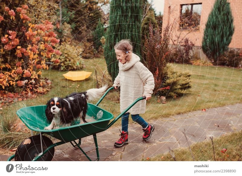 funny child girl riding her dog in wheelbarrow Lifestyle Joy Playing Garden Child Friendship Infancy Autumn Weather Sweater Pet Dog Happiness fall Wheelbarrow