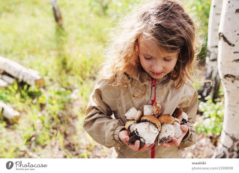 kid girl picking wild mushrooms Girl 3 - 8 years Child Infancy Going Forest explore Wild Autumn Summer Walking Mushroom Small Tree Freedom Nature Seasons