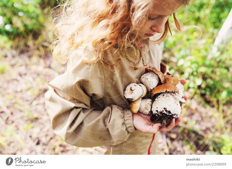 child girl picking wild mushrooms in forest Child Walking Mushroom picker explore Wild Forest Summer Nature Vacation & Travel Natural Girl Camping Traveling