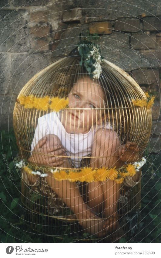 child in golden cage Children's game Parenting Girl Infancy 1 Human being 3 - 8 years Flower Wall (barrier) Wall (building) Cage Playing Sadness Wait Dark Free