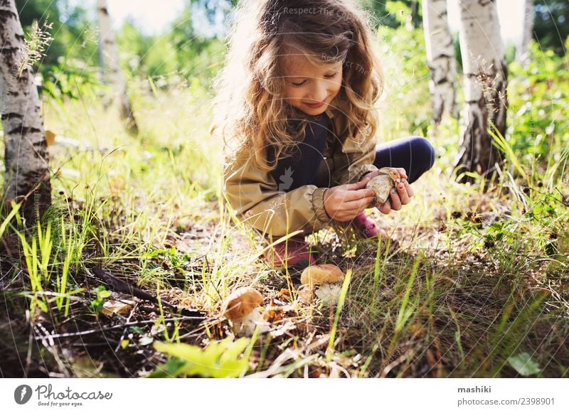 child girl picking wild mushrooms Child 8 - 13 years Infancy Joy Happiness Mushroom Forest Pick Wild Summer Autumn Walking Tree childhood Lifestyle explore