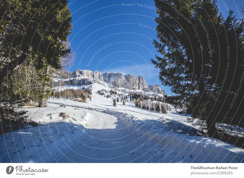 Dolomites Environment Nature Landscape Blue Brown Gray Green Black White Mountain Bergen South Tyrol Tree Tracks Street Sky Colour photo Exterior shot Deserted