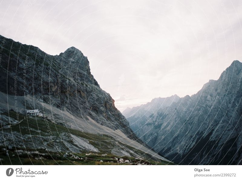 Sunrise in Alpes Lifestyle Relaxation Landscape Sky Horizon Fog Mountain Breathe Think To enjoy Listening Walking Vacation & Travel Looking Wait Moody