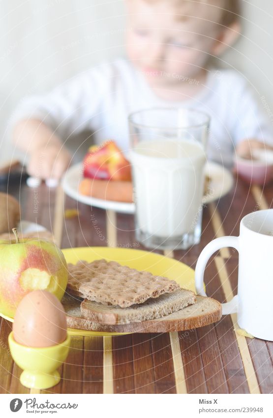 breakfast Fruit Apple Bread Nutrition Eating Breakfast Beverage Milk Coffee Table Human being Child Toddler Infancy 1 1 - 3 years 3 - 8 years Fresh Healthy