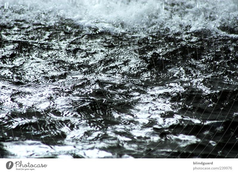 Boat on the river Environment Nature Water Summer Climate Pond Lake Wet Blue Black White Fluid Inject Waves Swell Colour photo Detail Deserted Day Contrast