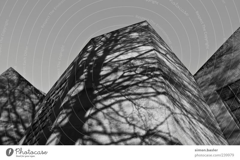 Shadow plays II Church Dome Manmade structures Building Architecture Facade Esthetic Sharp-edged Black White Black & white photo Exterior shot Pattern