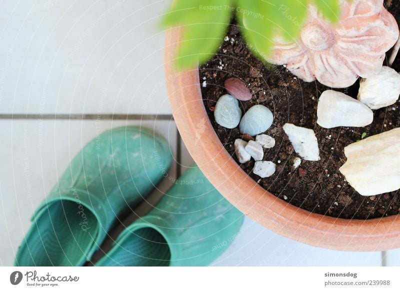 garden world Plant Footwear Stone Flower Terracotta Gardening Flowerpot Tile Green clogs Round Earth White Colour photo Exterior shot Close-up Detail Deserted