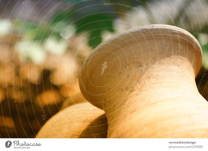 Mediterranean Vase Terracotta Colour photo Exterior shot Blur Flowerpot Deserted Copy Space top Copy Space left Sunlight