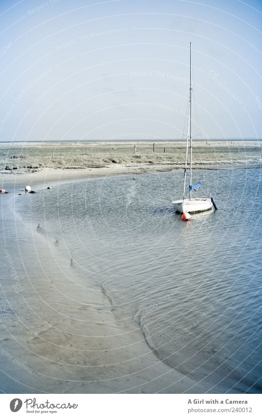 Spiekeroog l sail away with me Susanne Vacation & Travel Far-off places Freedom Beach Ocean Sand Cloudless sky Beautiful weather Coast North Sea Bright Sailboat