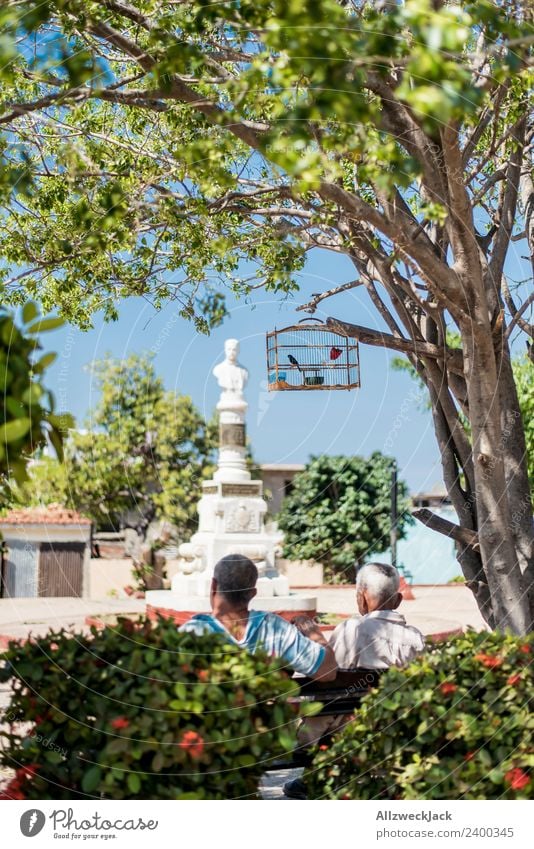 two men sitting in the park with a bird cage Cuba Trinidade Patriotism Socialism Vacation & Travel Travel photography Wanderlust Park Relaxation Break Restful