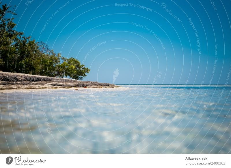 on the beach of a paradisiacal island in the Caribbean Day Deserted Island Paradise Beach Palm tree Beautiful Gorgeous Water Ocean Maritime Blue sky