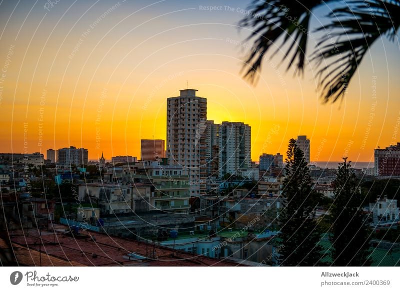 Havana Panorama Cuba Panorama (View) Sunset Summer Card Vacation & Travel Dusk Vantage point Skyline Deserted Palm tree Island Travel photography Far-off places