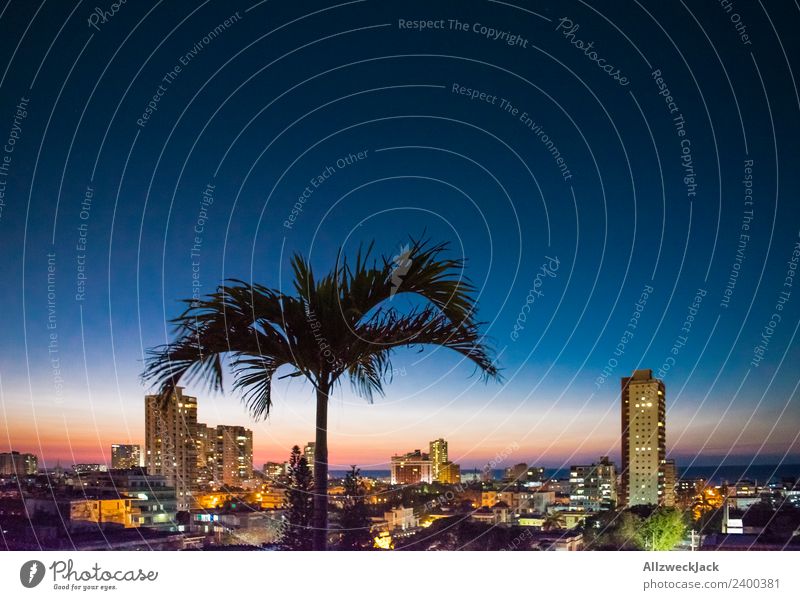 Skyline of Havana at night with palm tree Panorama (View) Deserted Summer Sun Vacation & Travel Island Far-off places Ocean Cloudless sky Town High-rise