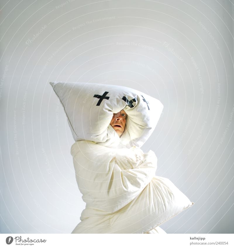 undo bears Human being Masculine Man Adults Head 1 Animal Wild animal Looking Bear Polar Bear Pillow Duvet Amazed Deception april fool's ore White Cold