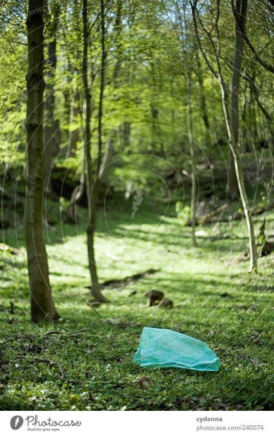 Forgotten I Environment Nature Landscape Tree Grass Forest Esthetic Uniqueness Discover Environmental pollution Transience Value Time Plastic bag Forget