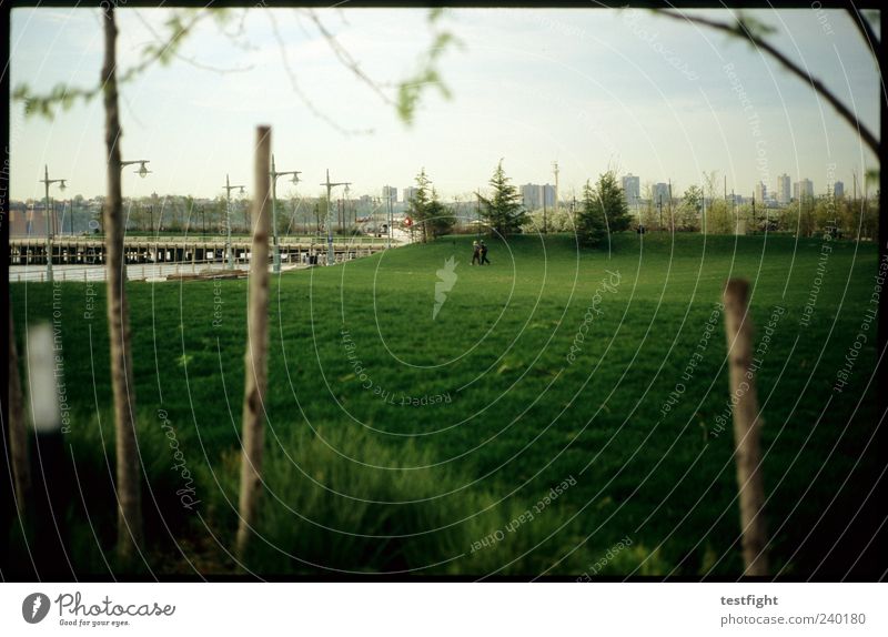 field of green Human being 2 Nature Tree Park Meadow Skyline Relaxation Green Contentment Break Far-off places Town Calm New York City Colour photo