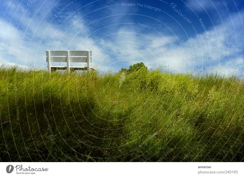 dyke Nature Sky Clouds Summer Beautiful weather Grass Hill Blue Green White Calm Bench Dike Altes Land Relaxation Afternoon sun Recreation area Wind Breeze