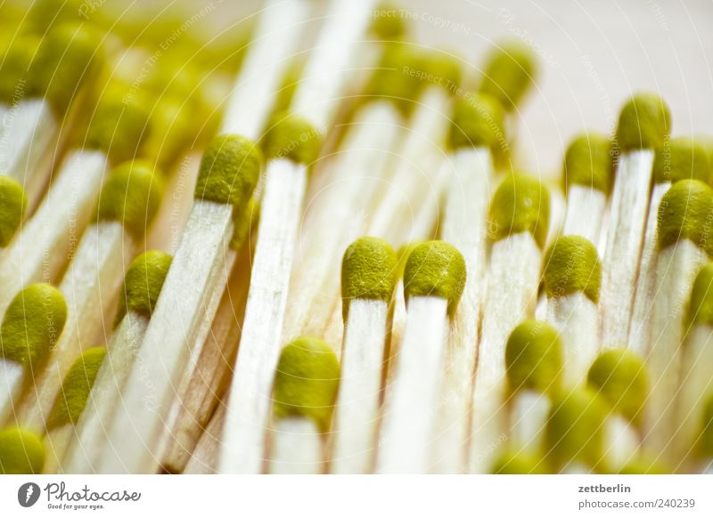 matches Wood Match Many Colour photo Interior shot Close-up Detail Macro (Extreme close-up) Deserted Neutral Background Deep depth of field Bright background