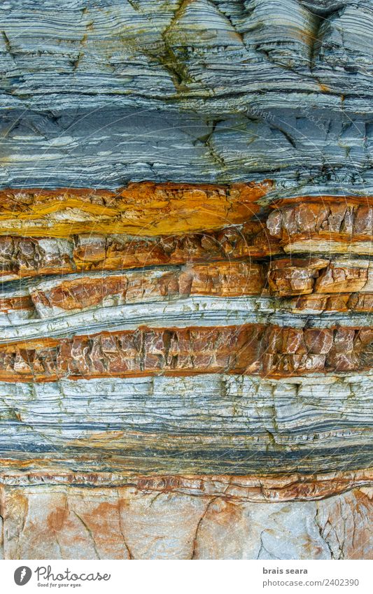 Sedimentary rocks texture Beach Ocean Education Science & Research Geology Profession Geologist Environment Nature Earth Coast Tourist Attraction Stone Blue