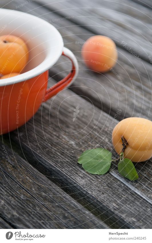 apricots Fruit Apricot Bowl Pot Wood Esthetic Green Wooden table Mature Fresh Colour photo Exterior shot Shallow depth of field Orange Lie Blur