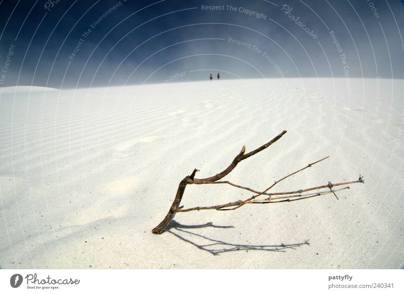 Branch and Human being 2 Environment Nature Landscape Elements Sand Sky Summer Beautiful weather Gale Desert White Sands Observe To enjoy Looking Gigantic Dry