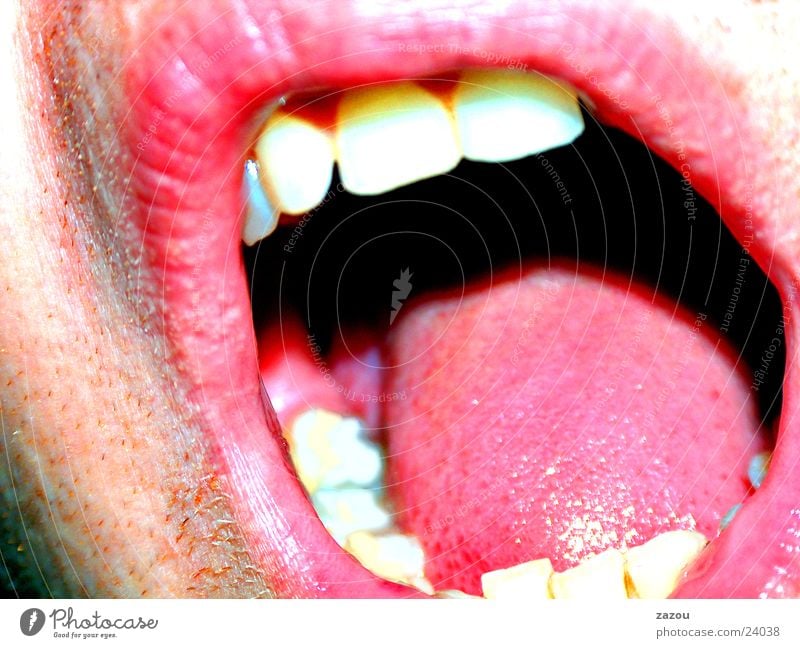 strawberry mouth Lips Macro (Extreme close-up) Close-up Mouth Tongue Face Teeth