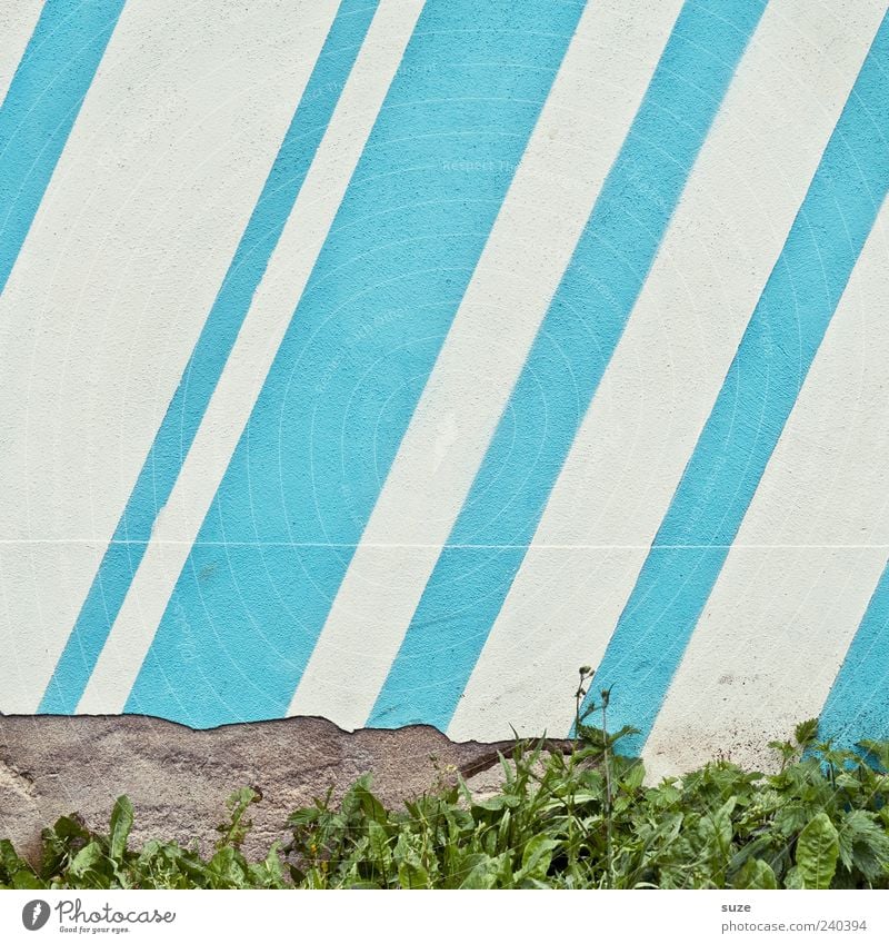 SkyLines Grass Wall (barrier) Wall (building) Stripe Broken Blue White Diagonal Stone wall Plaster Ravages of time Colour photo Multicoloured Exterior shot