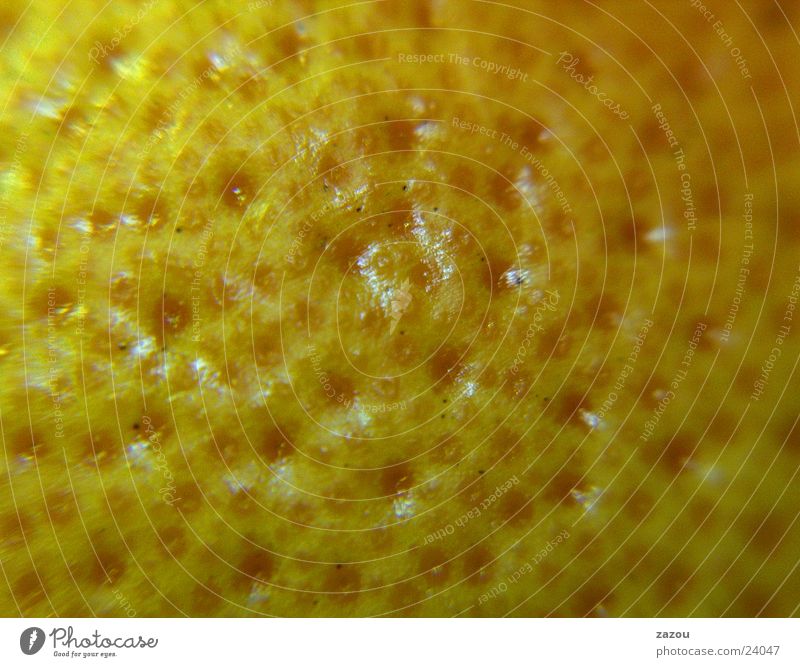 Grapefruit goes pop! Yellow Fruit Macro (Extreme close-up) Detail Edible nut Background picture Copy Space Section of image Surface structure